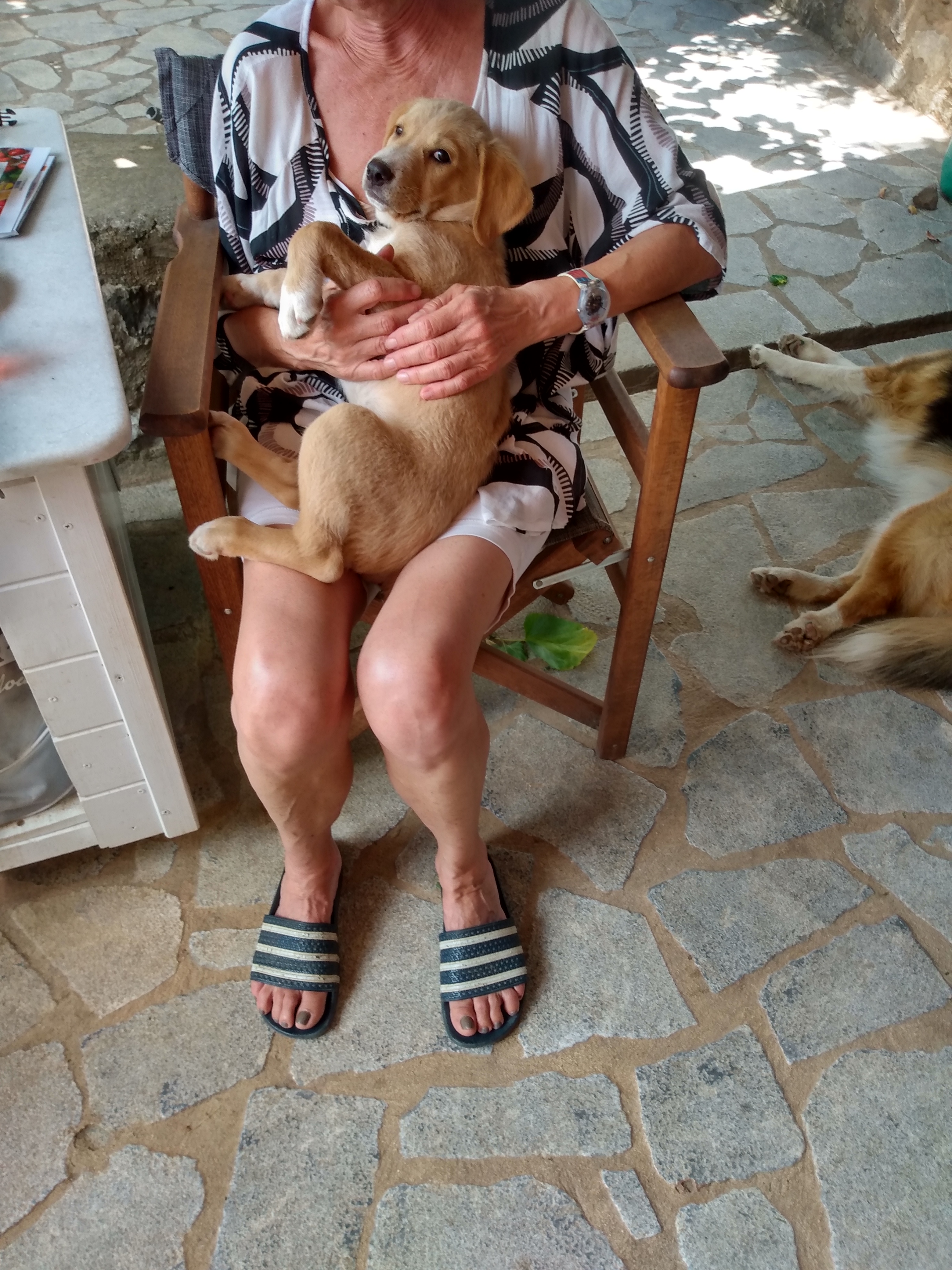 IMG_20220612_145108650_HDR