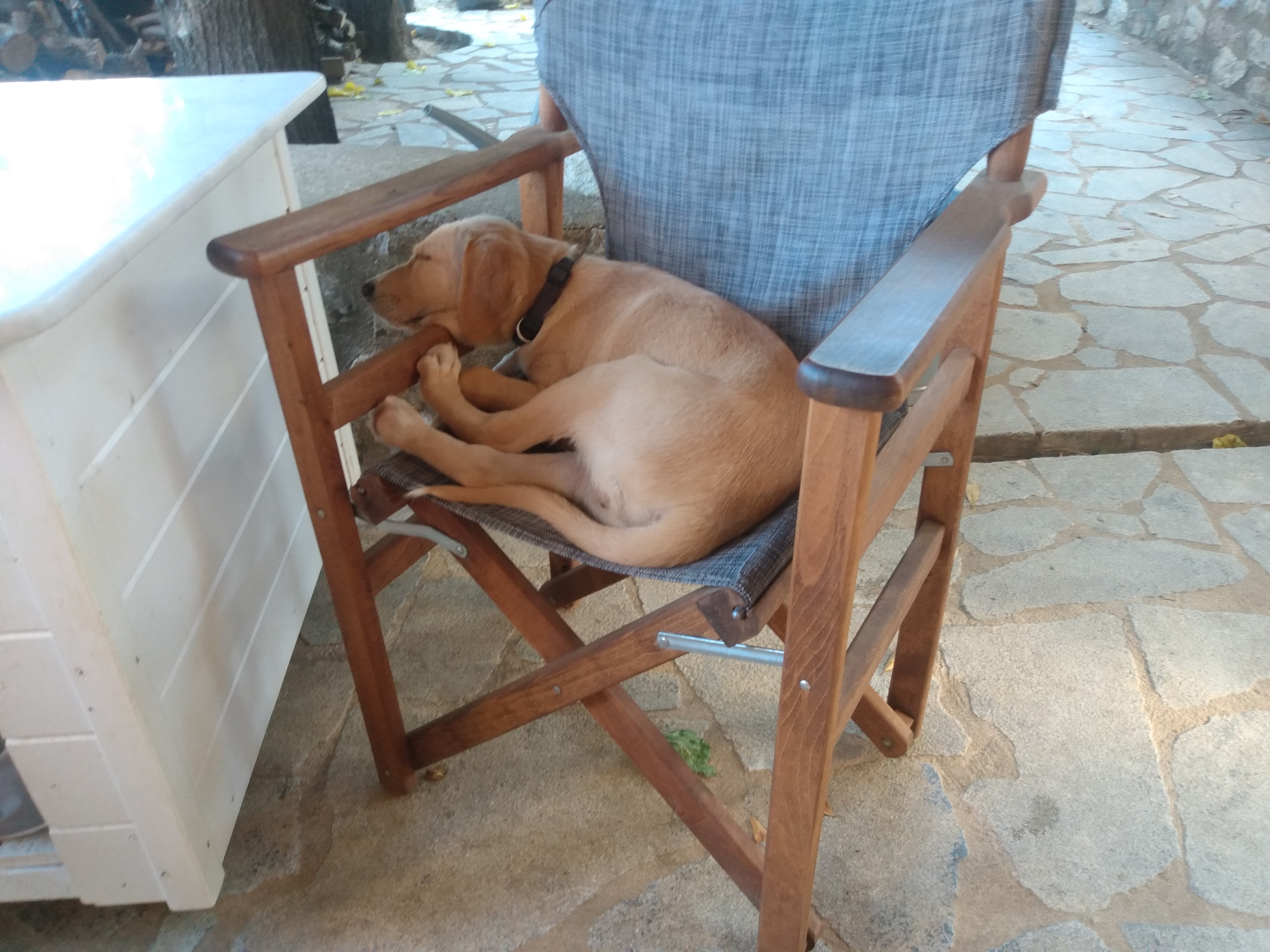 IMG_20220628_075747210