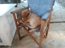 IMG_20220628_075747210