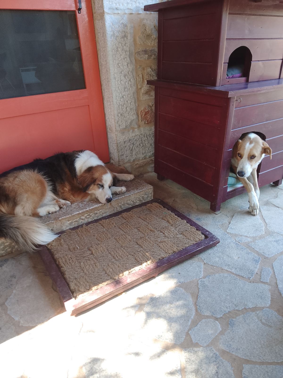 IMG-0bd7dbb4f1b7497cad1fcdfbca1b232d-V