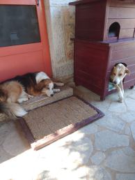 IMG-0bd7dbb4f1b7497cad1fcdfbca1b232d-V