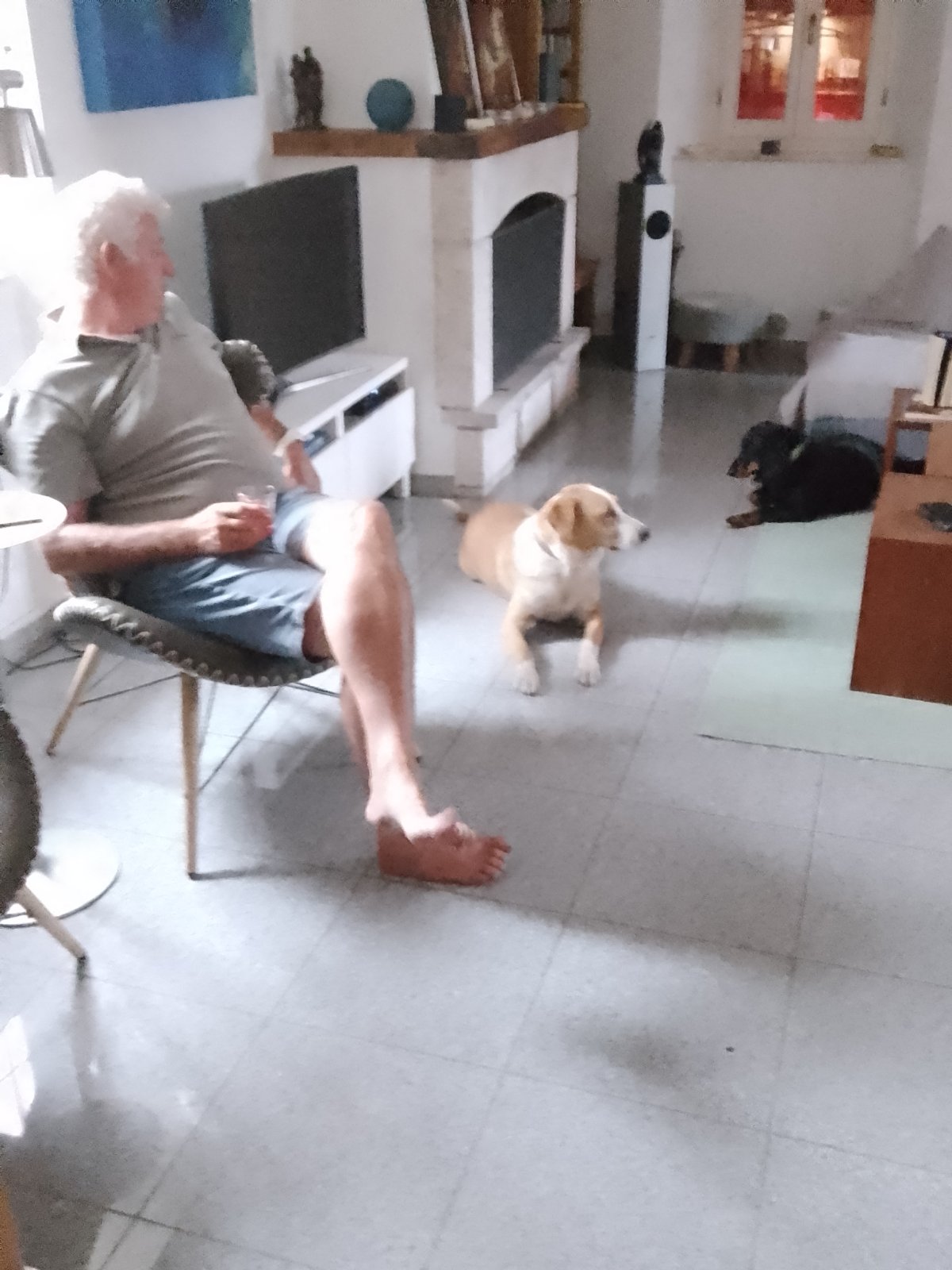 IMG-7d3b26aa049eb68f1ef0409650206aa8-V