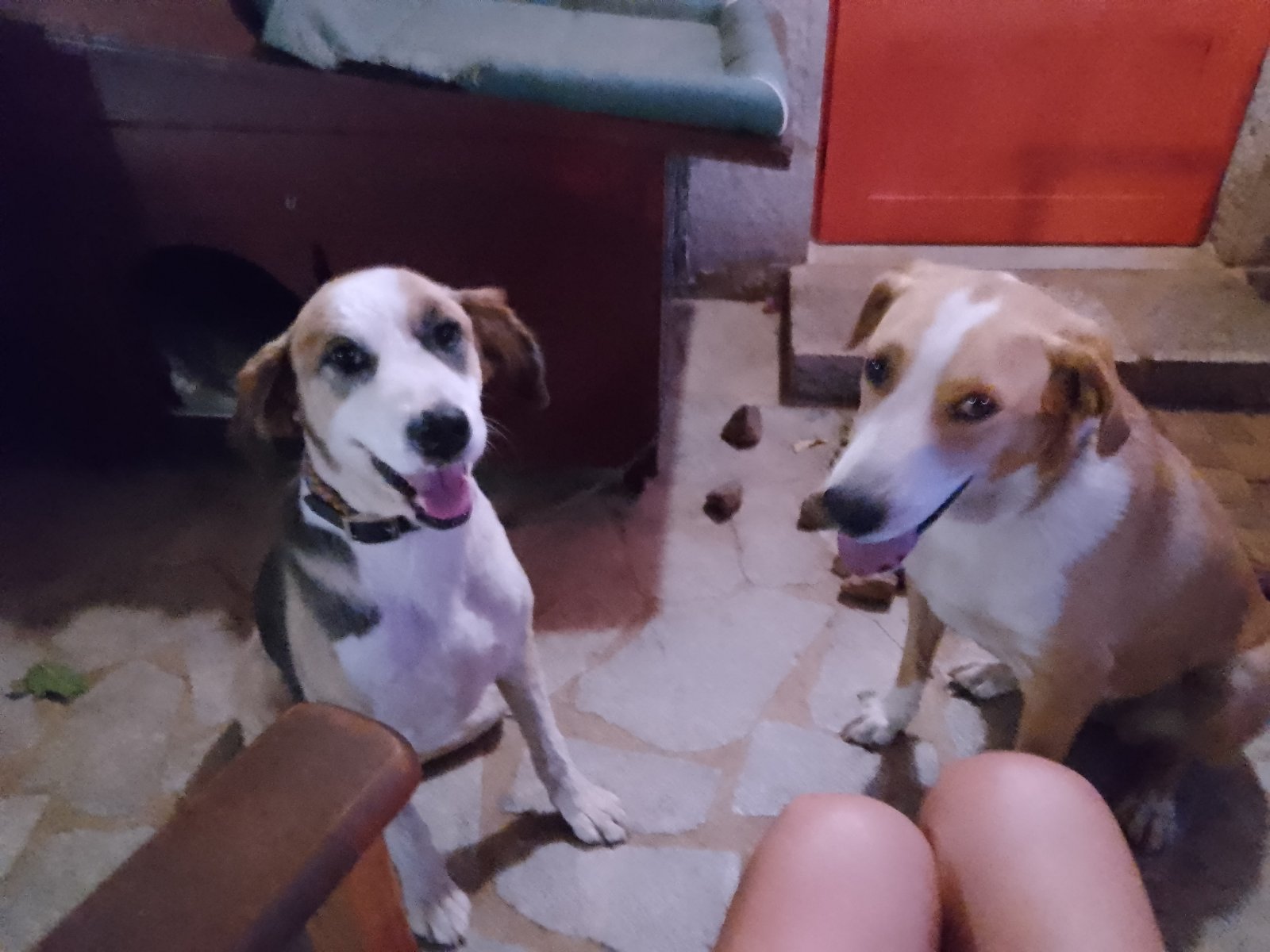 IMG-e4d5be6cdd7119763018b1b2b6438e8e-V