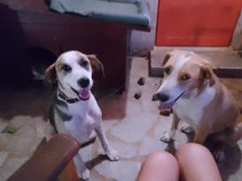 IMG-e4d5be6cdd7119763018b1b2b6438e8e-V