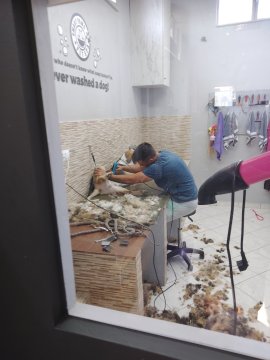 IMG-fc4ccffeeef16e8517a16cef4bcb339c-V