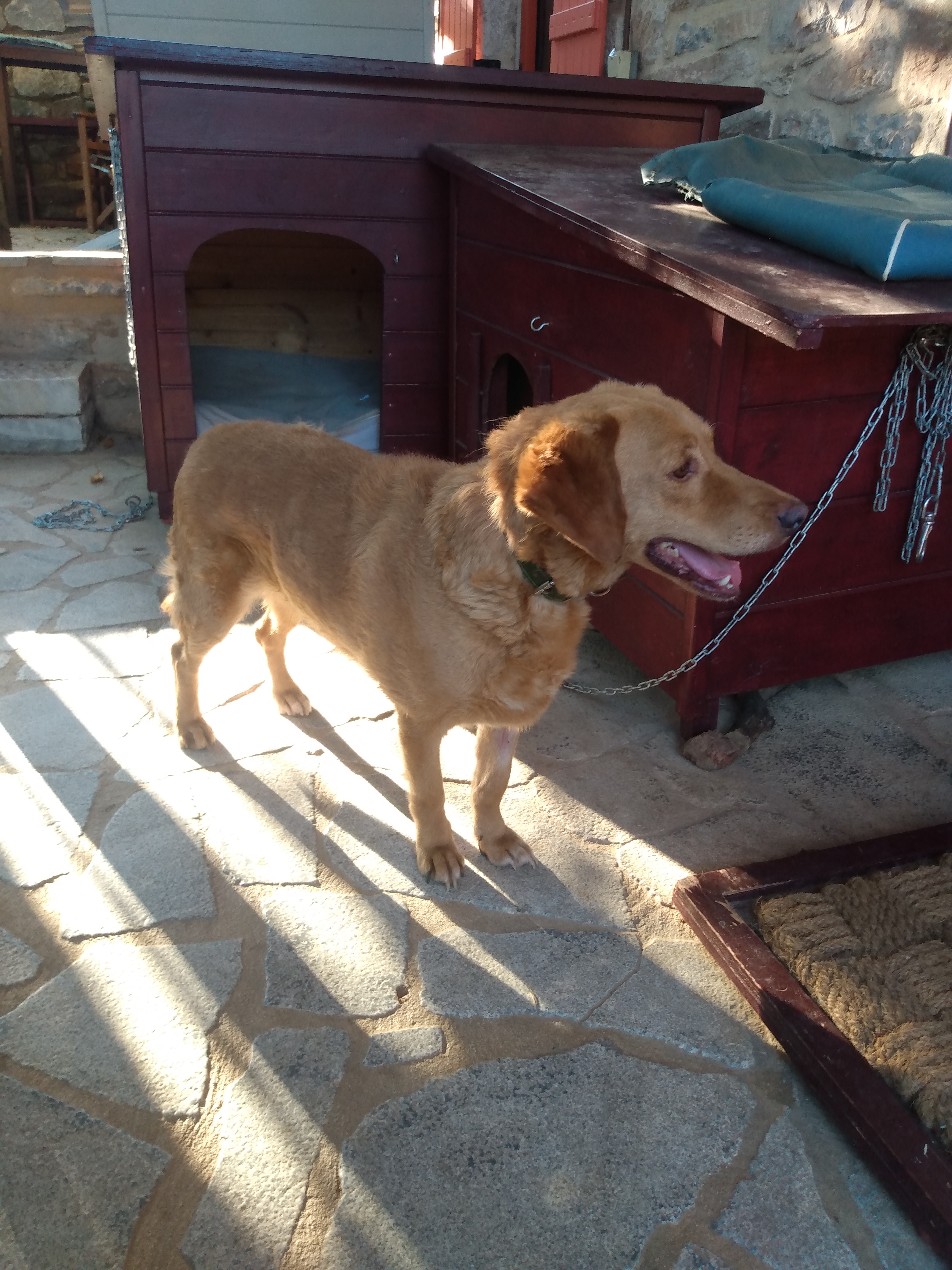 IMG_20220717_080812072