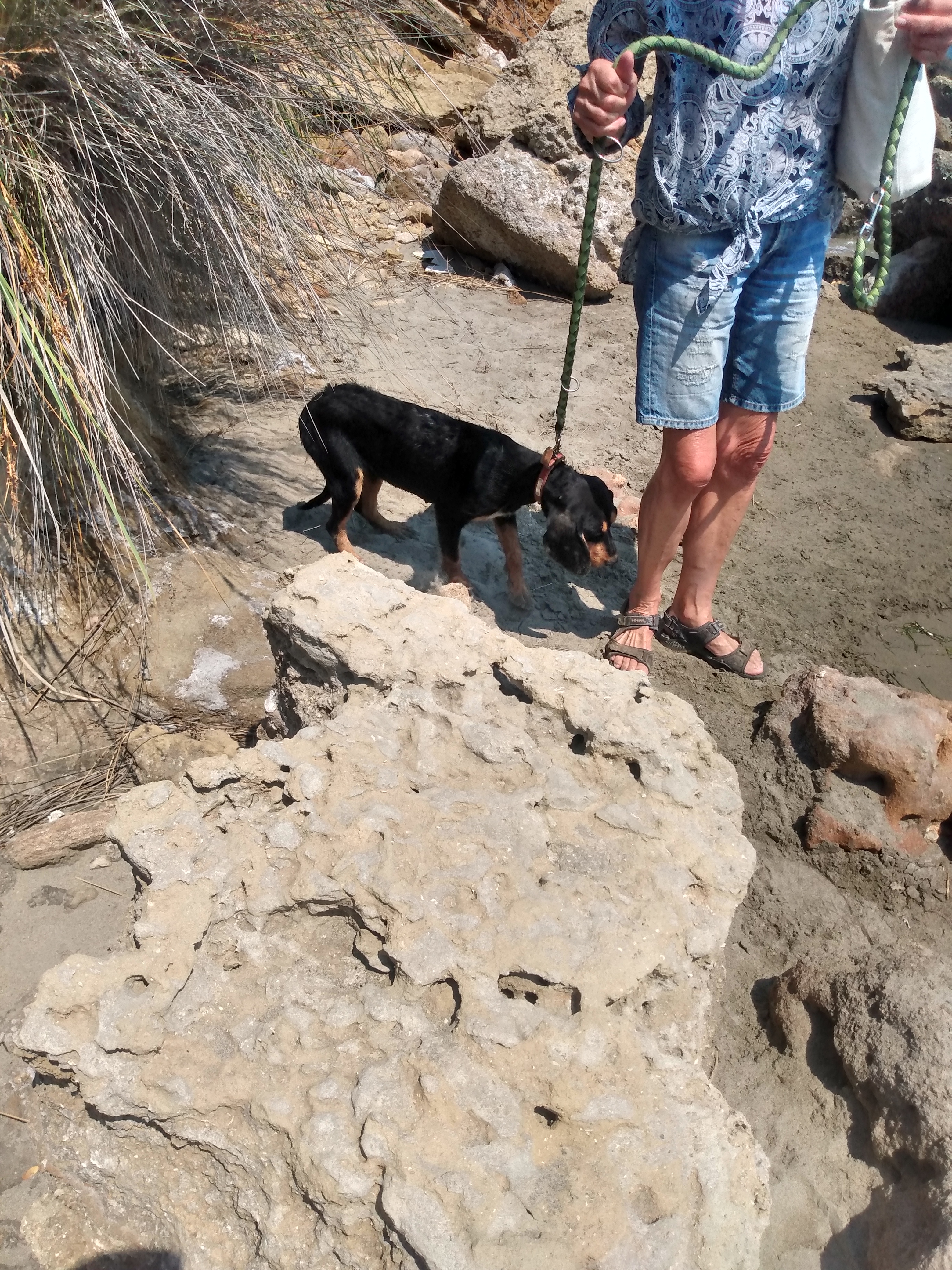 IMG_20220727_151711632_HDR