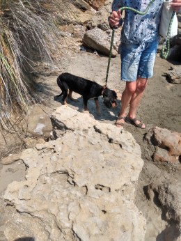 IMG_20220727_151711632_HDR