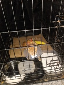 IMG_20220817_142418752