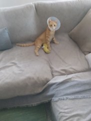 IMG_20220822_080305749