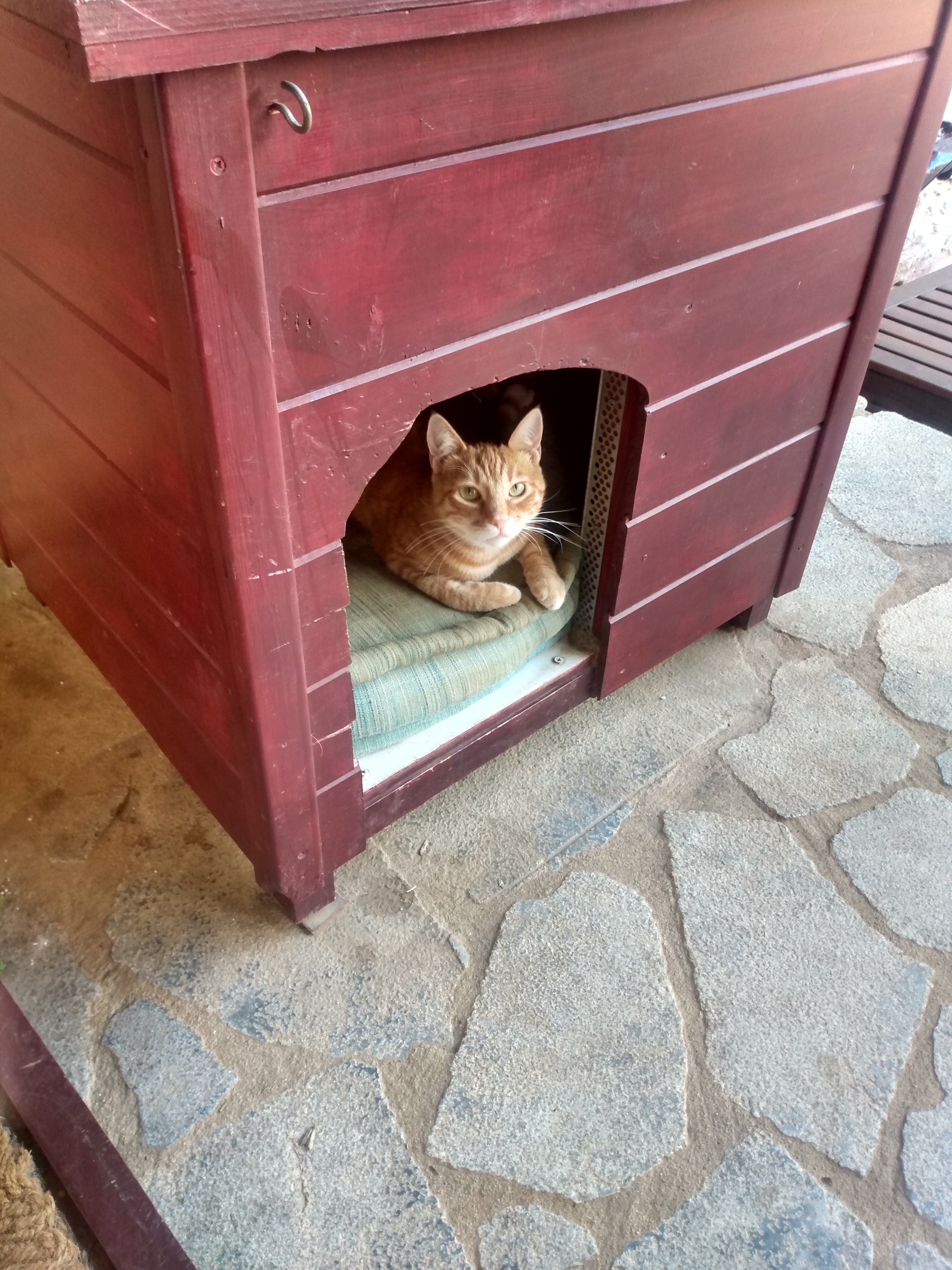 IMG_20220922_104515229_HDR