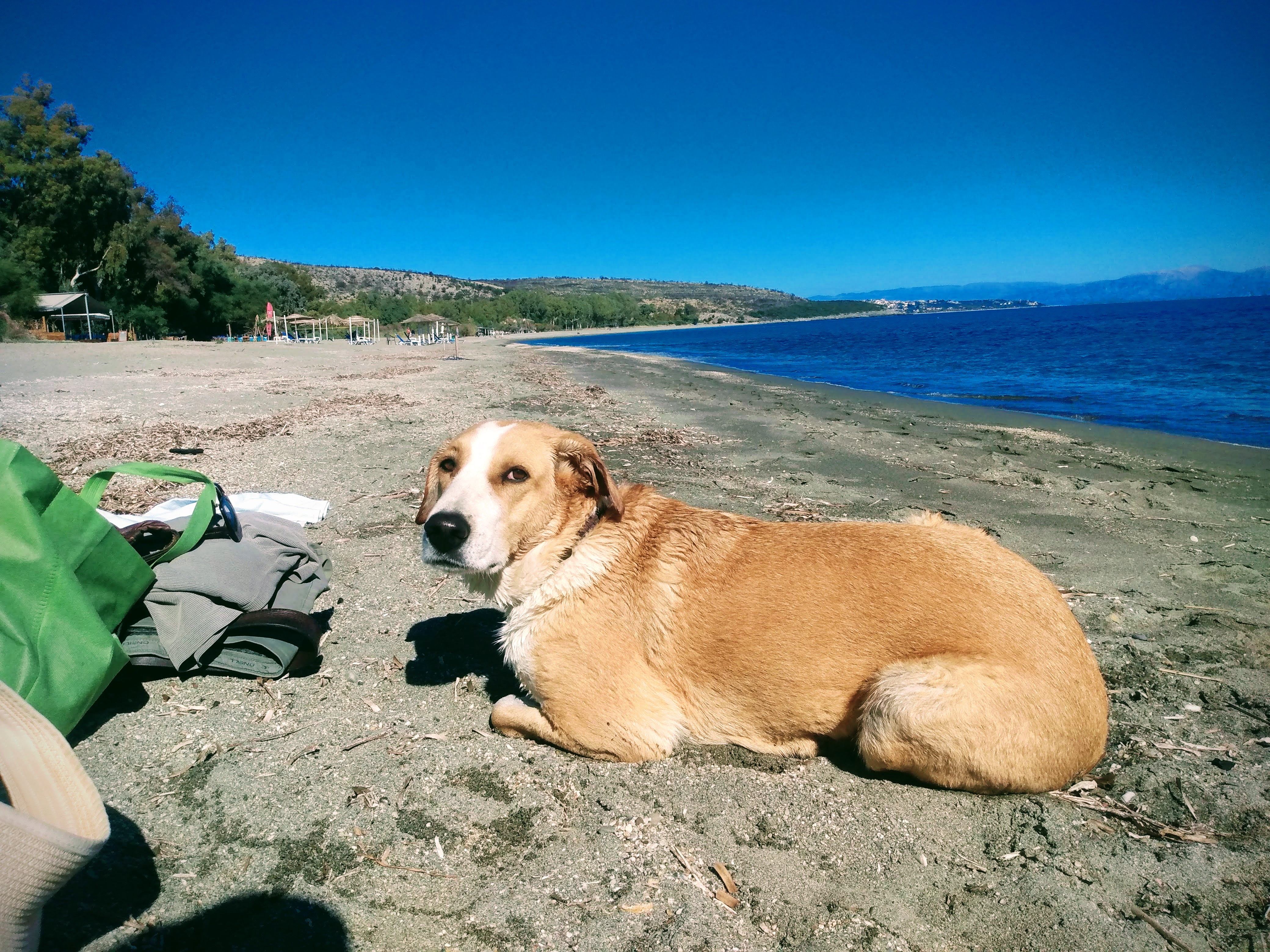 IMG_20221030_130847865-EFFECTS