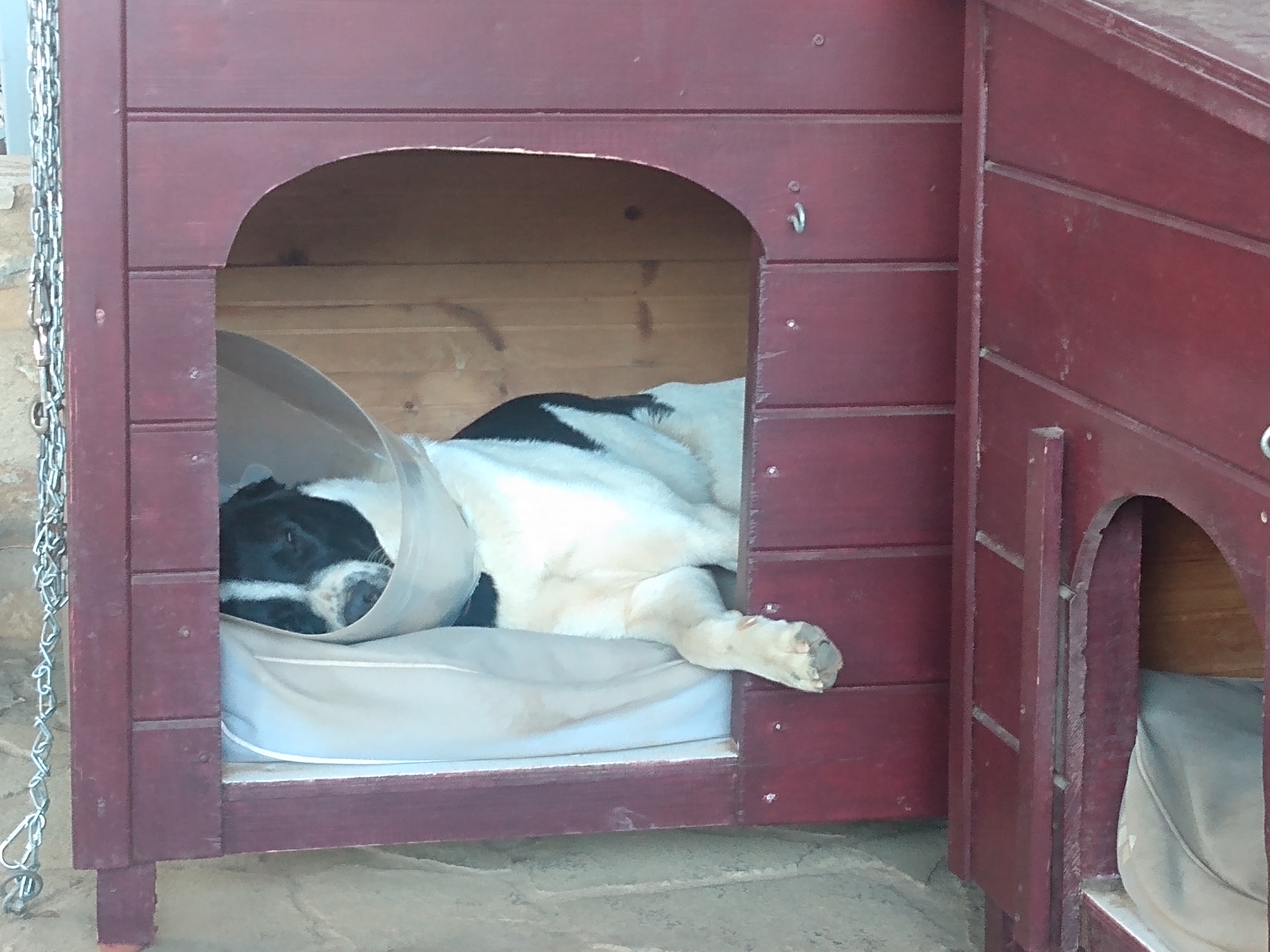 IMG_20221102_081156018