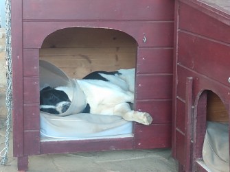 IMG_20221102_081156018