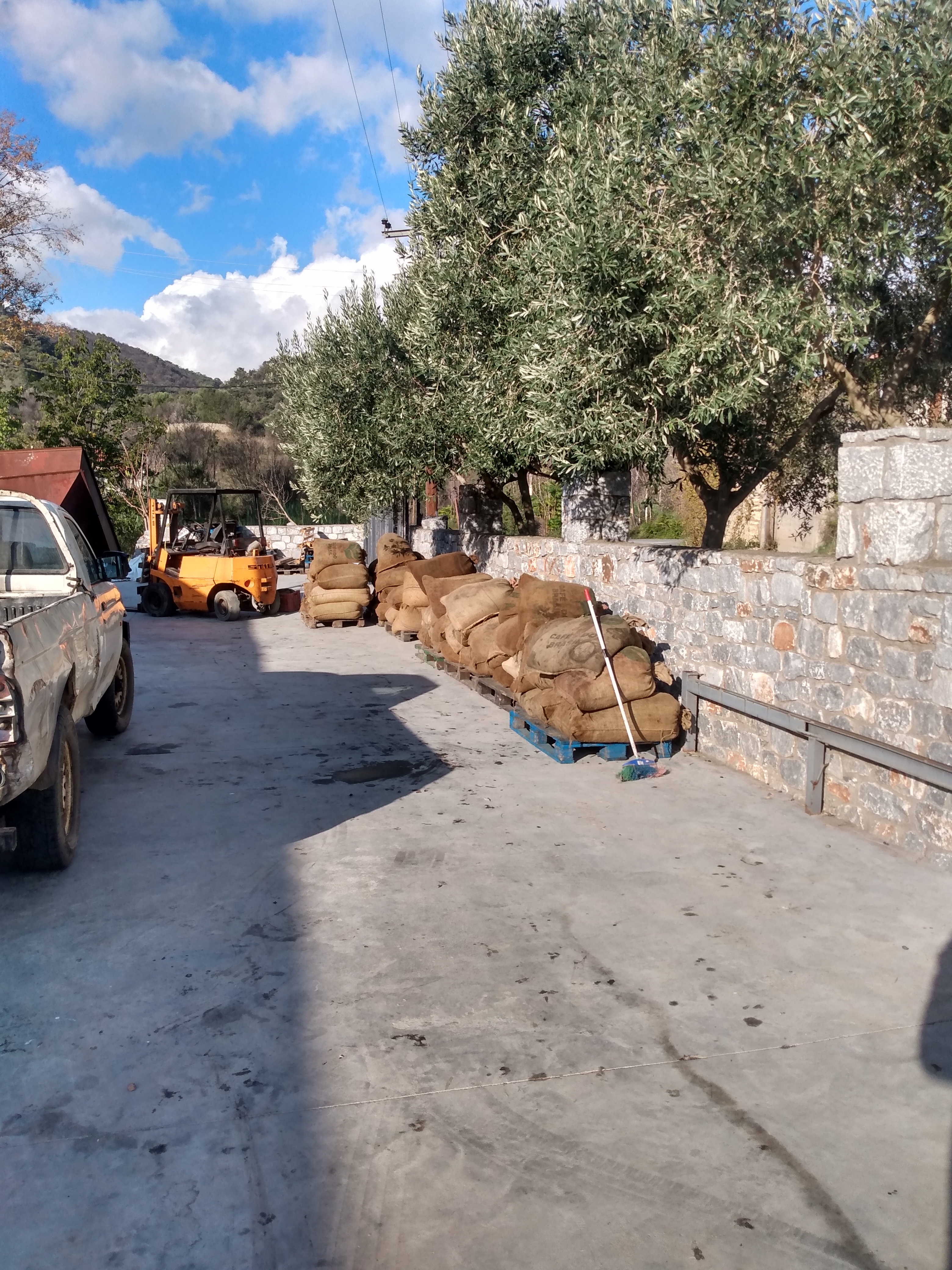 IMG_20221105_090046583_HDR