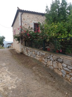 IMG_20221106_114331345