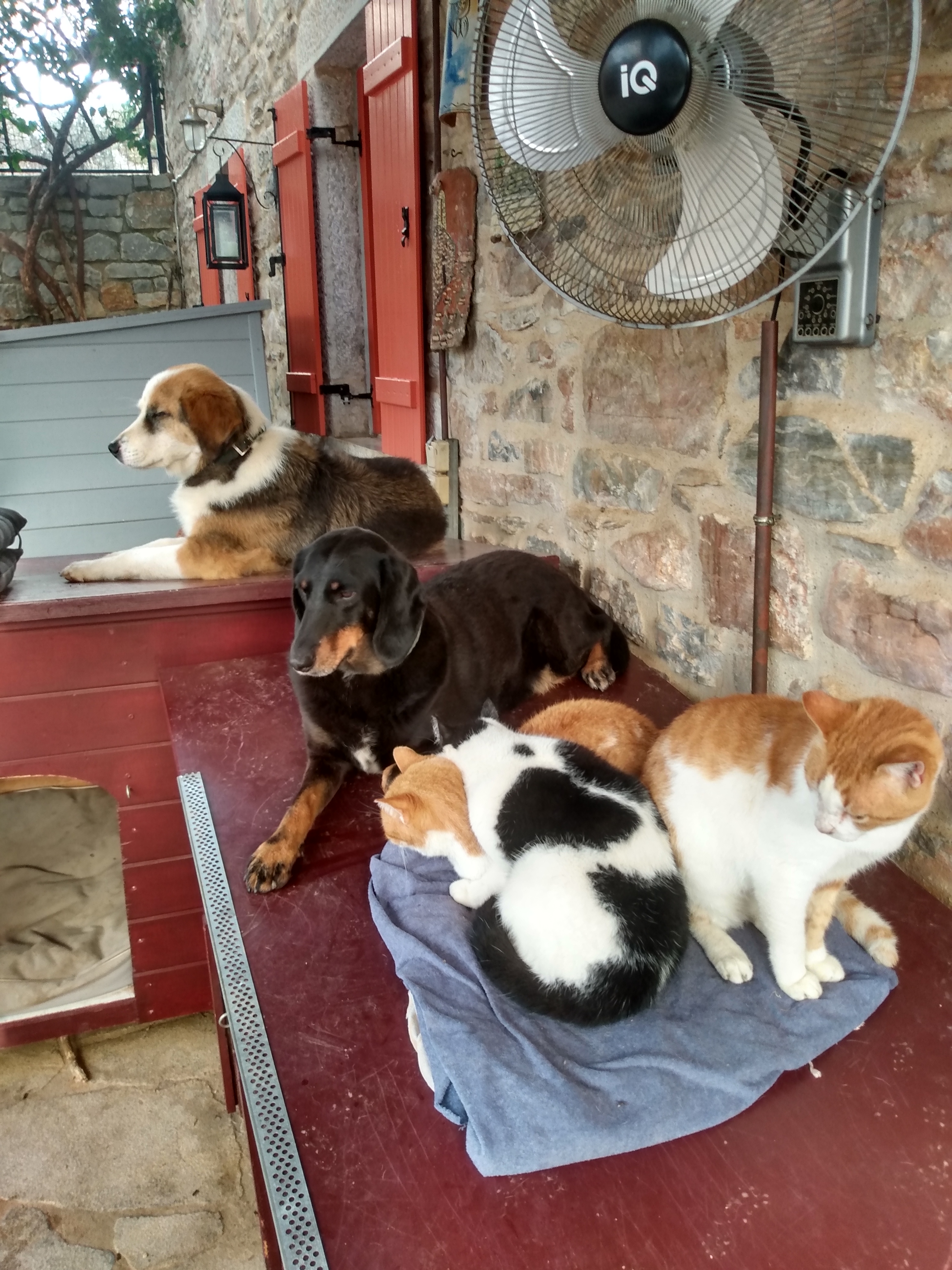 IMG_20221117_075246344_HDR