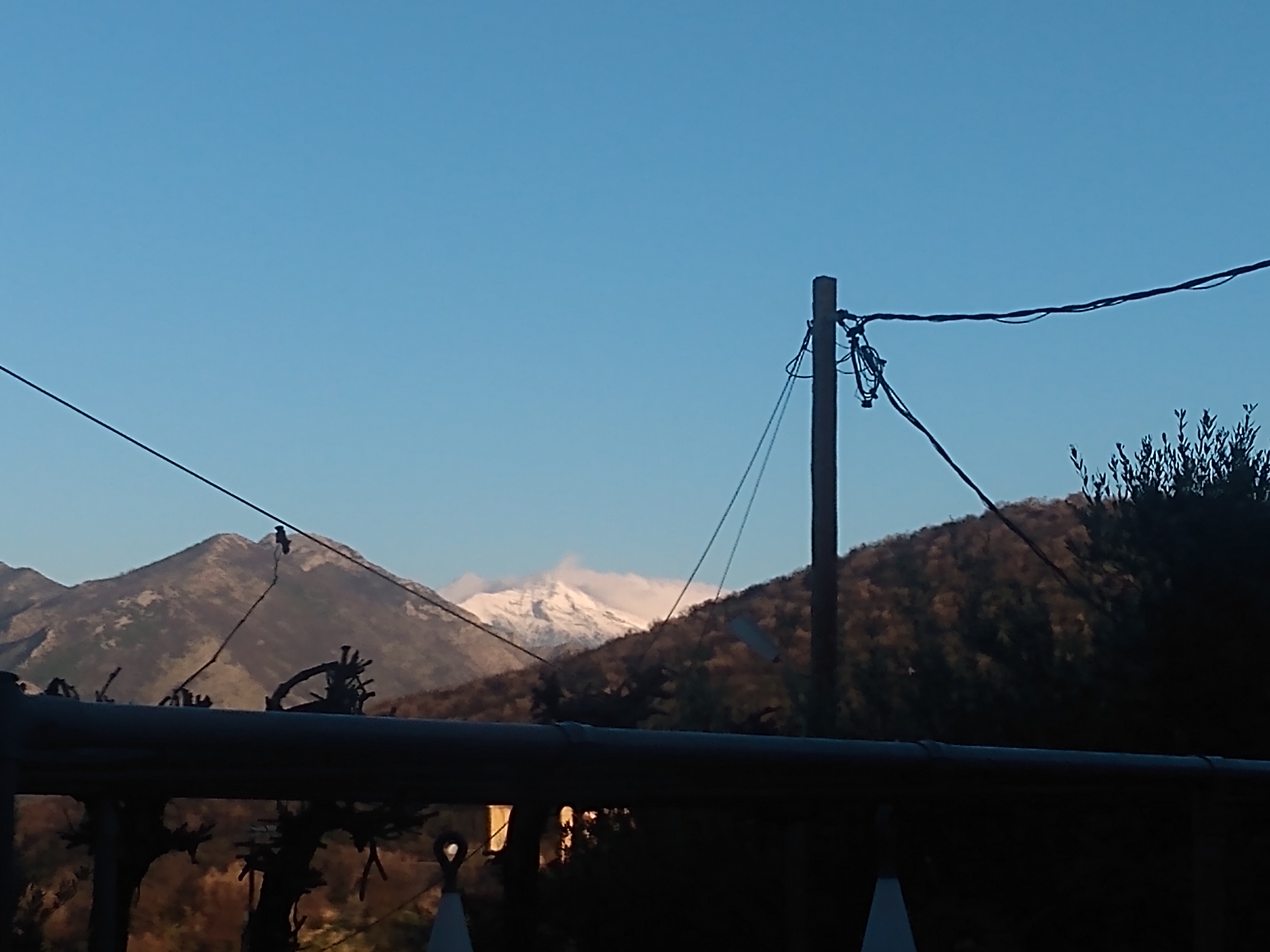 IMG_20221124_075728054