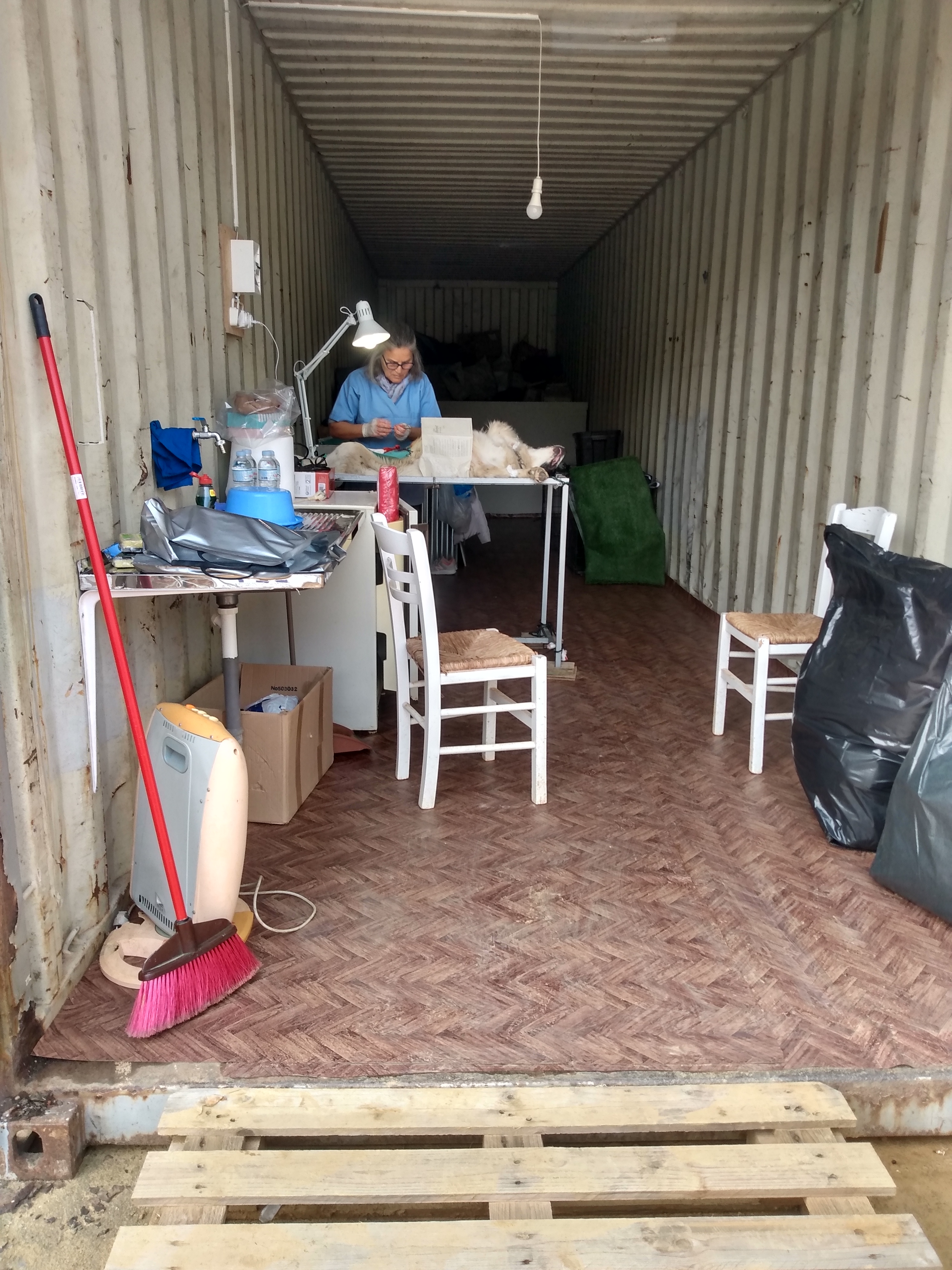 IMG_20221126_110246773_HDR