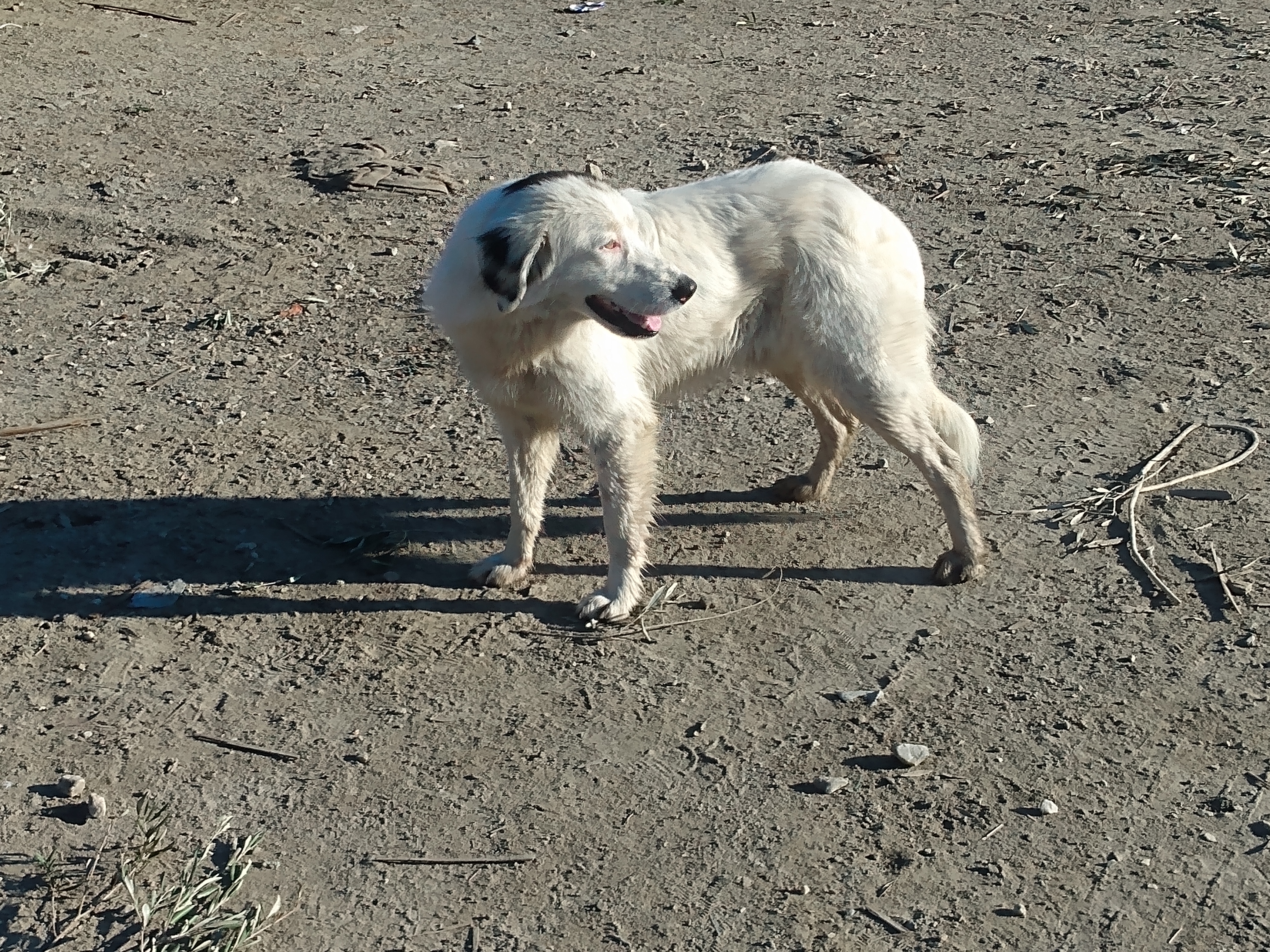 IMG_20221226_094029184