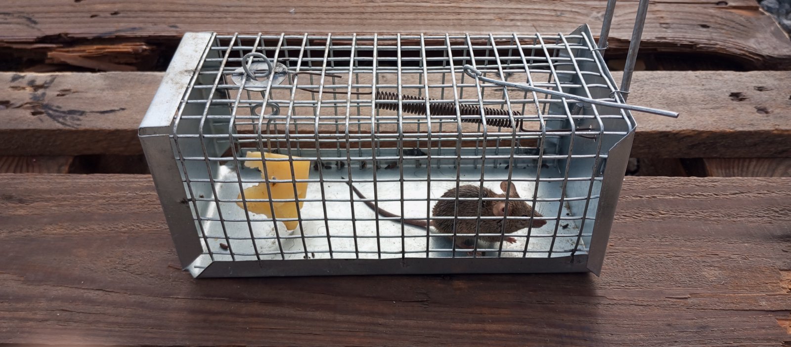 IMG-ce9f1e22d5840a0354a697e8646c9af6-V